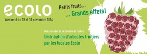 Action petits fruitiers